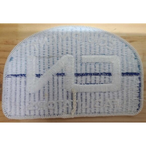 "Vintage CN Equipment Facilitators Embroidered Patch - Collectible Railway - Picture 2 of 2